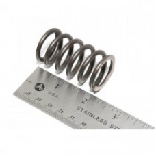 Valve Spring 