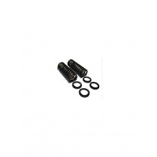 Rear Springs 