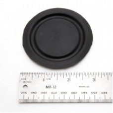 Diaphgram 