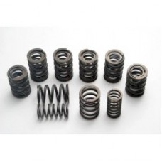 Valve Springs 