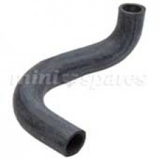 Lower Radiator Hose