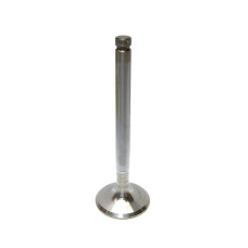 Exhaust Valve