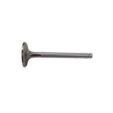 Intake Valve