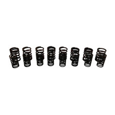 Valve Spring Set 