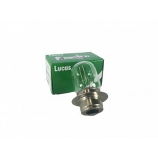 Bulb