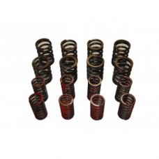 Valve Spring Set 